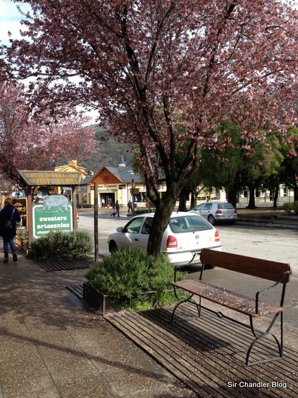 san-martin-andes-calle