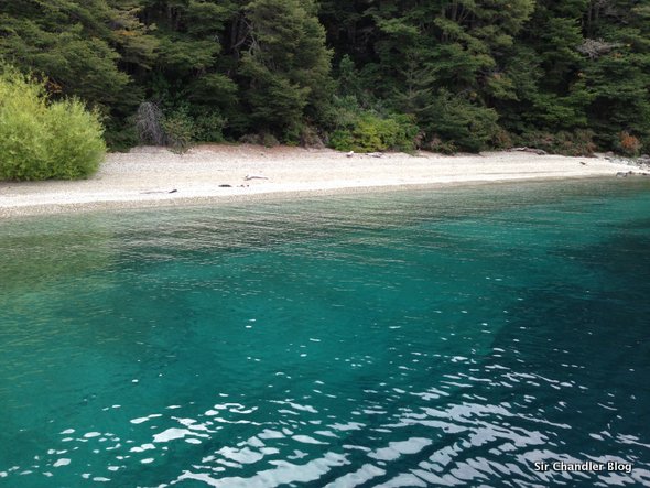 ceniza-nauel-huapi