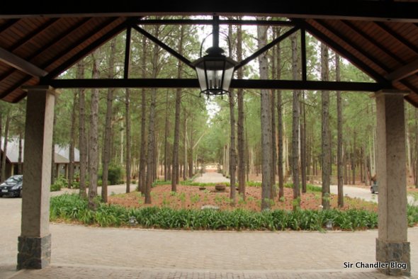 fourseasons-carmelo-ingreso