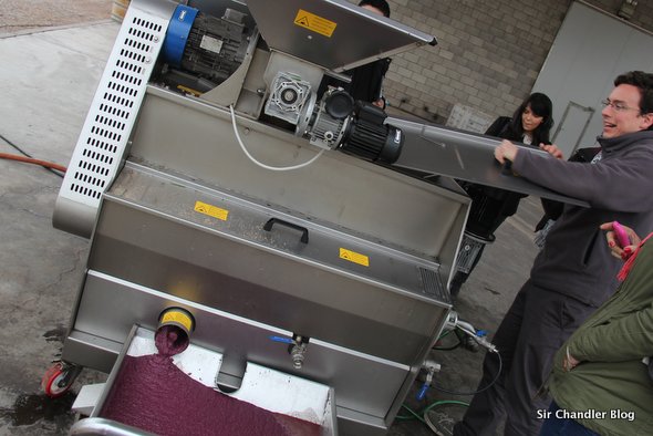 zuccardi-oliva-proceso