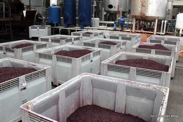 zuccardi-restos-uvas