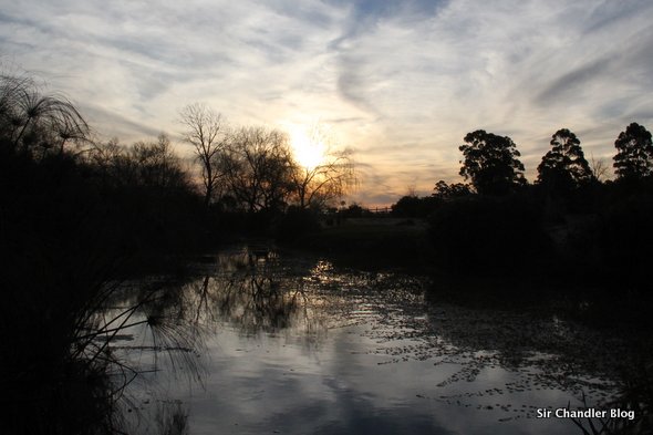 four-seasons-carmelo-atardecer