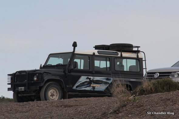 land-rover-madryn