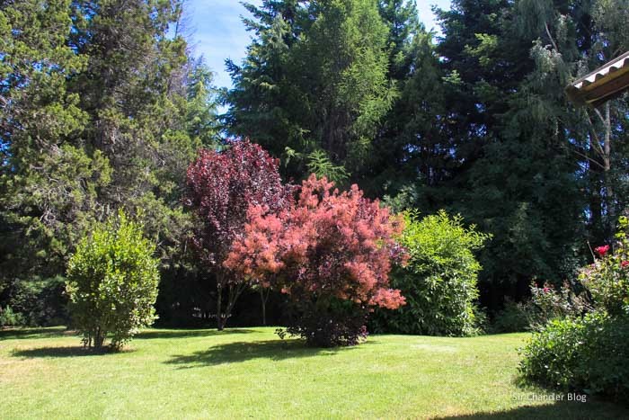 bariloche-casa-jardines
