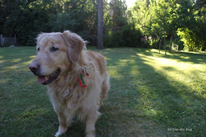 bariloche-casa-phoebe