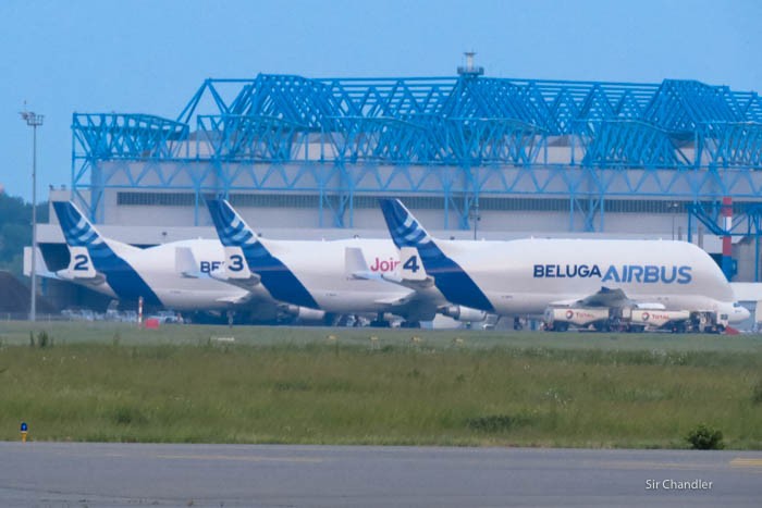 11-beluga-airbus