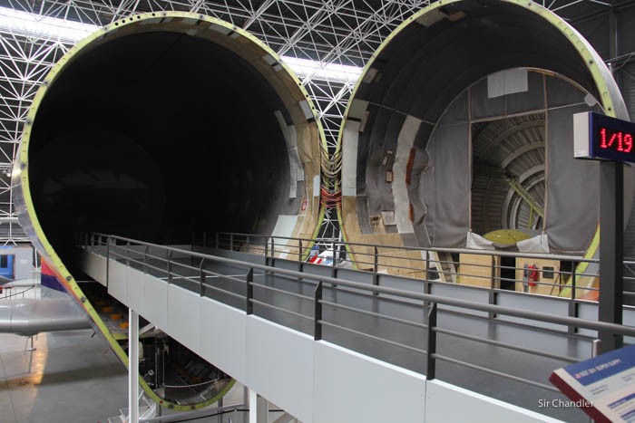 4-primer-beluga-adentro