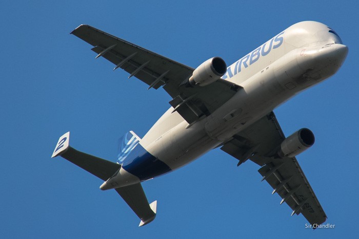 airbus-beluga