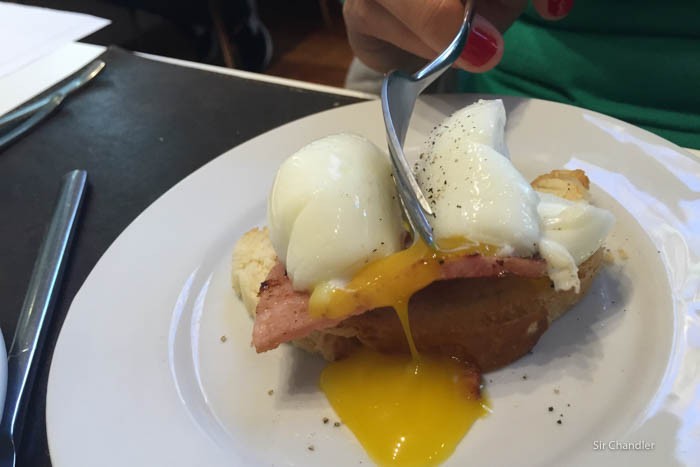 vain-brunch-benedicto