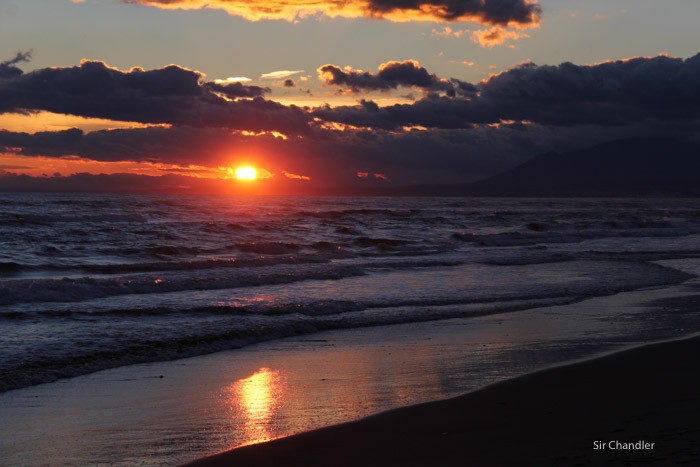 7-mediterraneo-marriot-marbella-4376