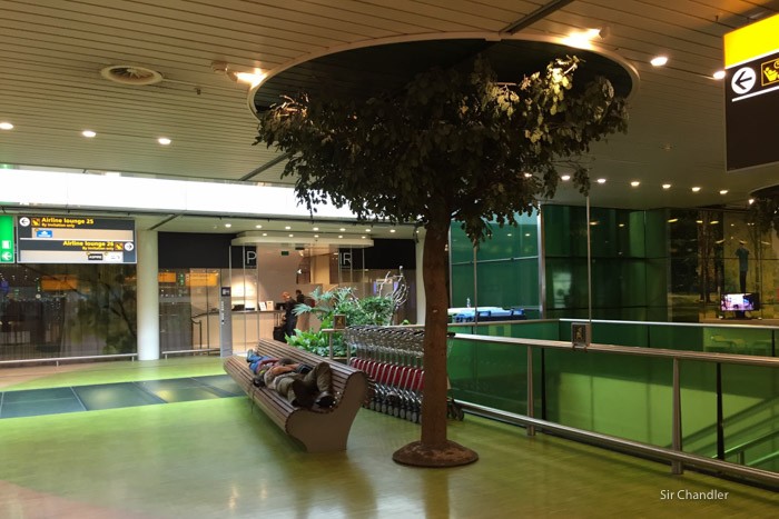 3-schiphol-aeropuerto