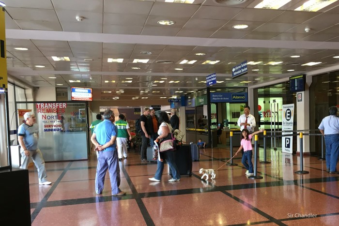 21-salida-salta-perro-aeropuerto