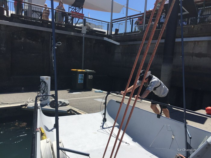 auckland-velero-3921