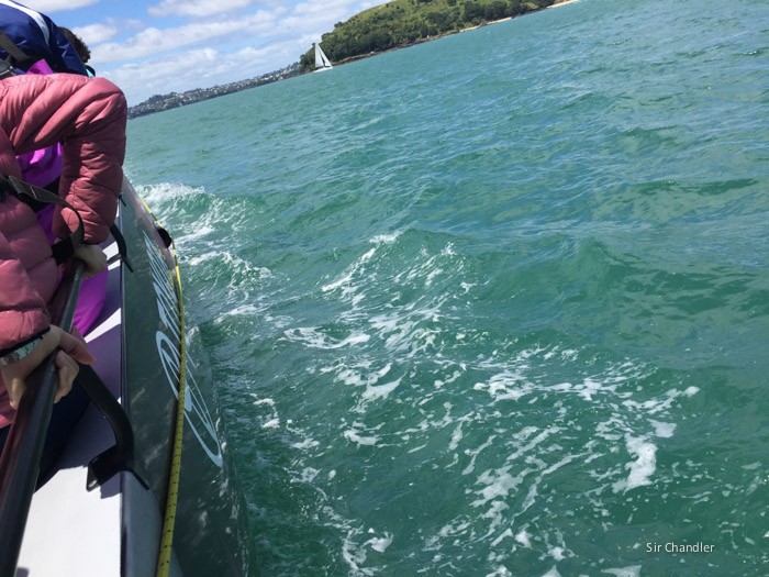 auckland-velero-3968