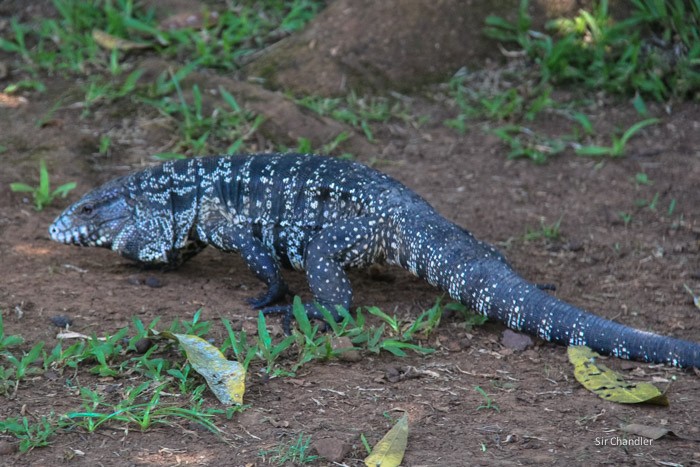 cataratas-iguazu-0284