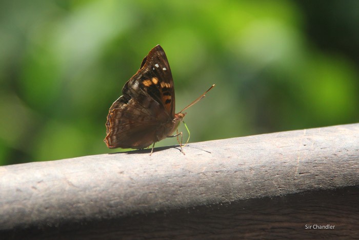 cataratas-iguazu-0303