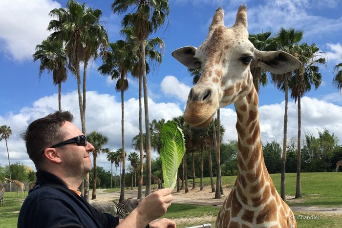 4-busch-gardens-8676