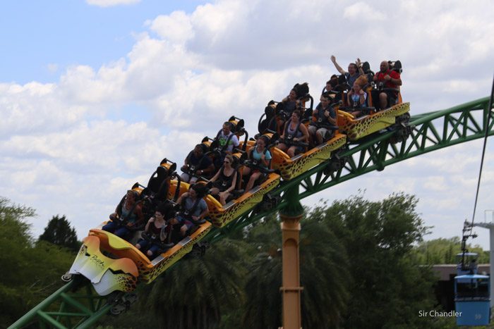 busch-gardens-3789