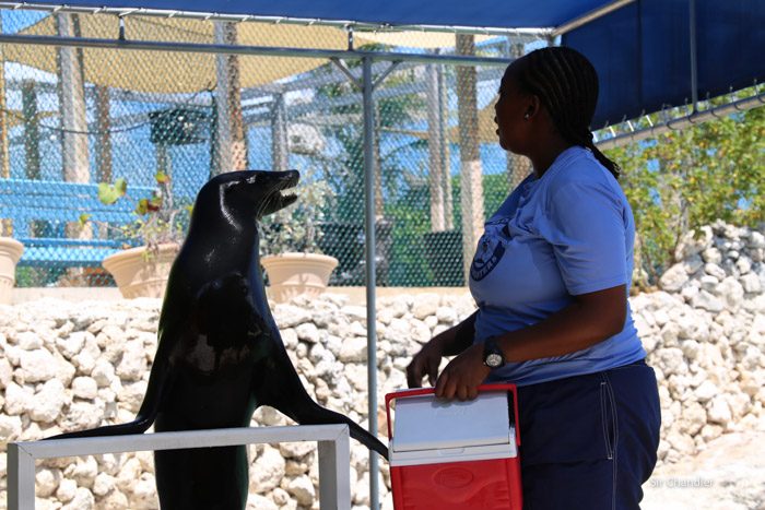 17-blue-lagoon-island-5018