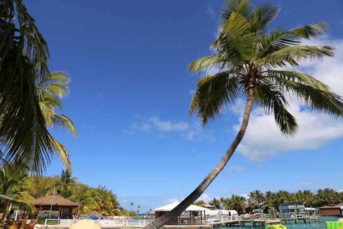 8-blue-lagoon-island-5141