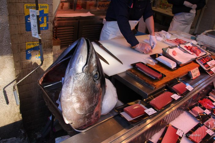 tokyo-fish-market-0413