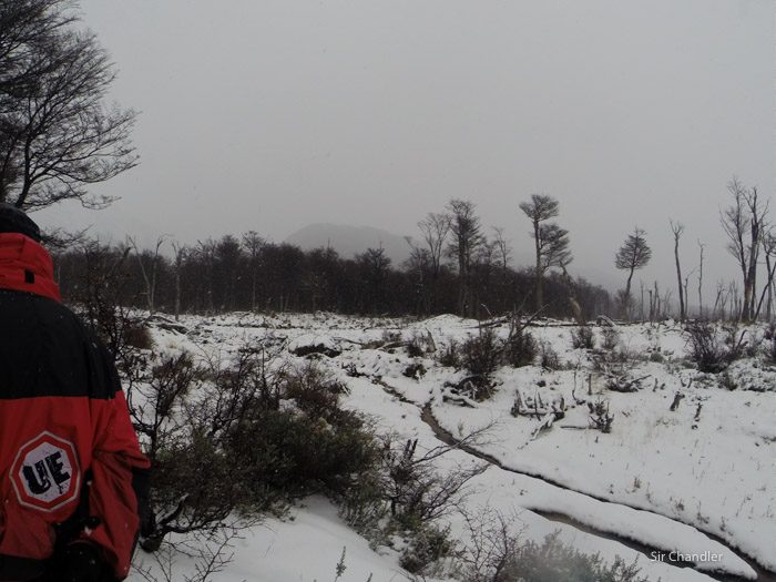 10-valle-lobos-ushuaia-4169