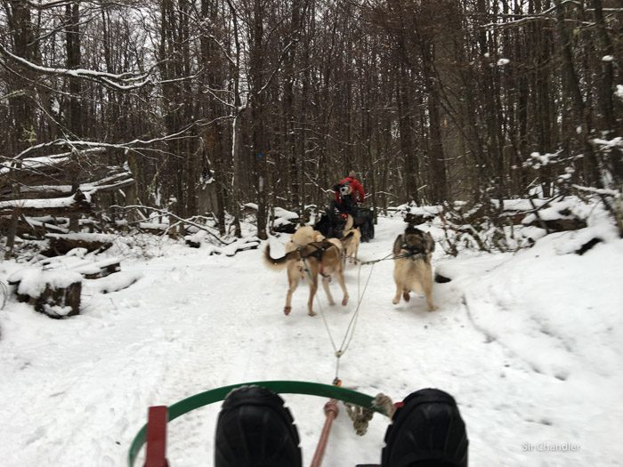 11-valle-lobos-ushuaia-1551