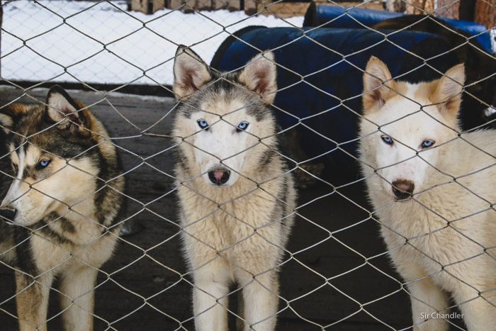 4-valle-lobos-ushuaia-6447