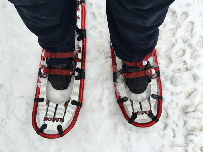 6-valle-lobos-ushuaia-1525