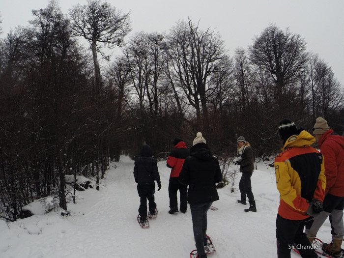 7-valle-lobos-ushuaia-1566