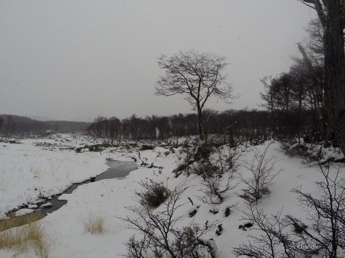 8-valle-lobos-ushuaia-1557