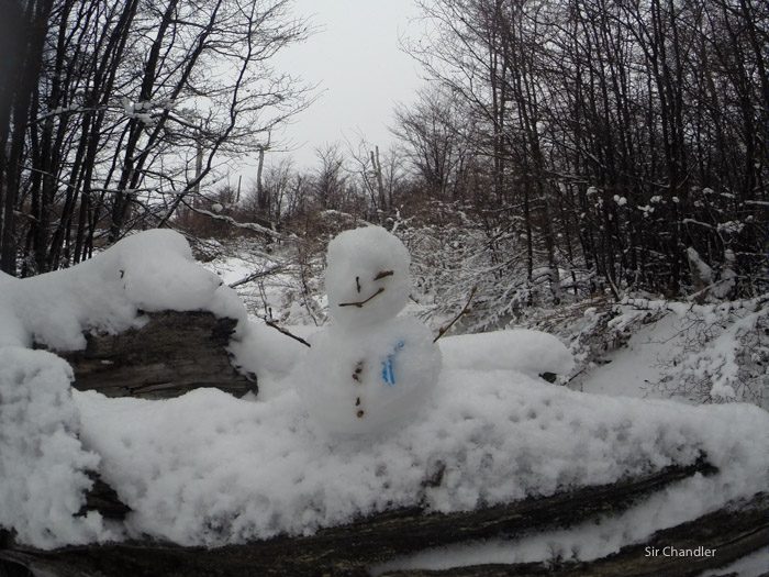 9-valle-lobos-ushuaia-4163