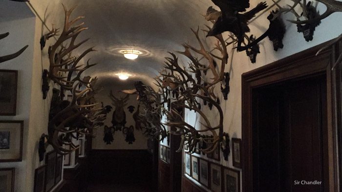 franz-ferdinand-0176