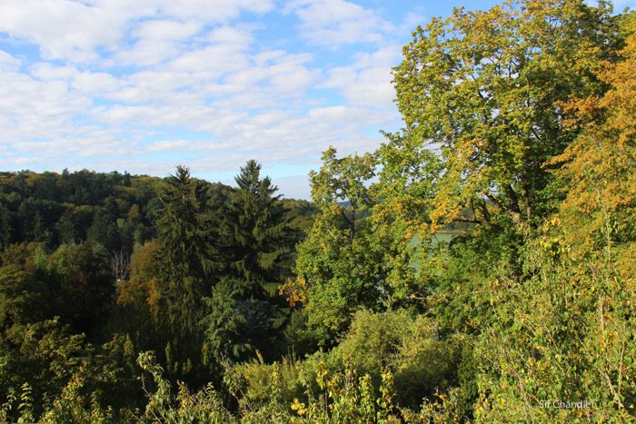 franz-ferdinand-1055