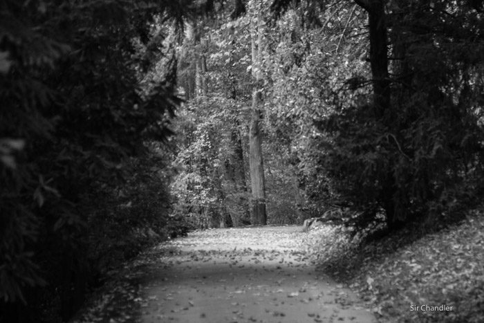 franz-ferdinand-1079