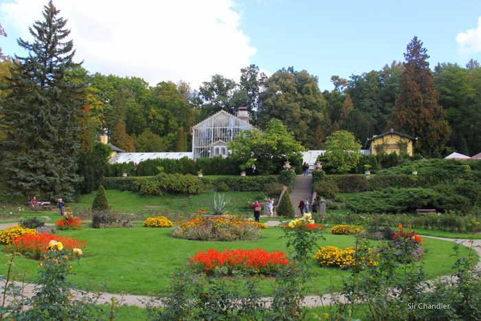 franz-ferdinand-1086