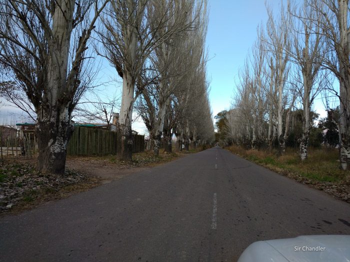 3-valle-de-uco-zuccardi-101828104