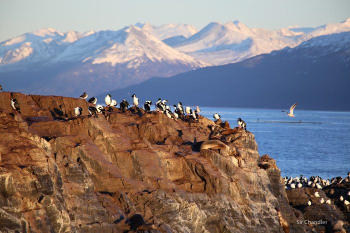 ushuaia-beagle-paseo-6794