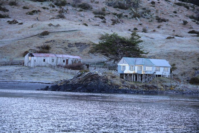 ushuaia-beagle-paseo-6896