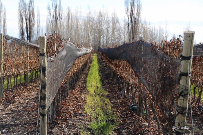 valle-de-uco-zuccardi-1147