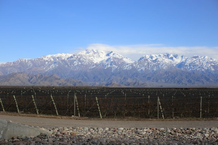valle-de-uco-zuccardi-5897