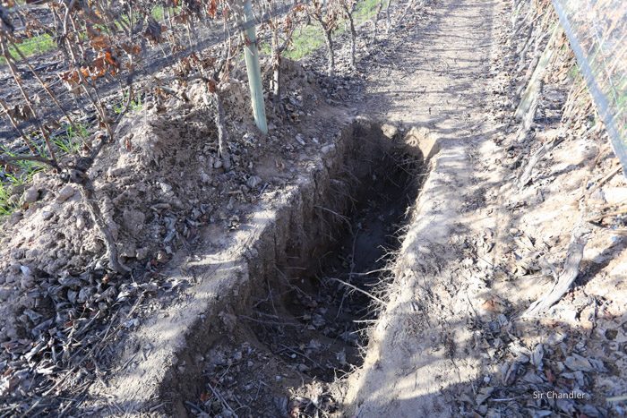 valle-de-uco-zuccardi-5904