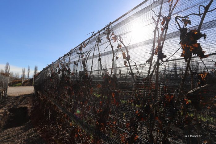 valle-de-uco-zuccardi-5905