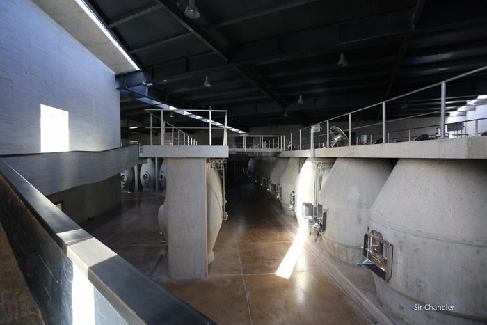 valle-de-uco-zuccardi-5924