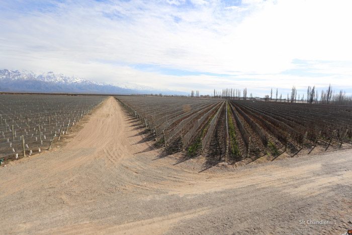 valle-de-uco-zuccardi-5960