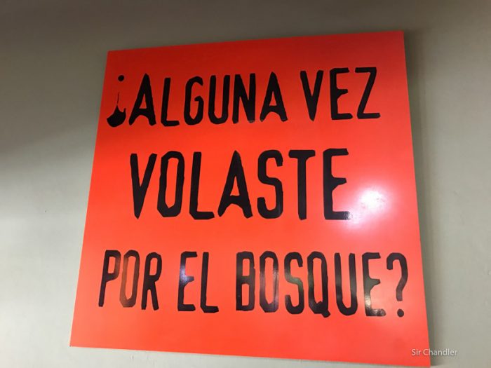 canopy-bariloche-1528