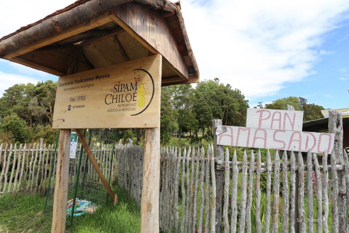 morelia-empanadas-2607