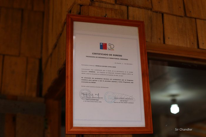 morelia-empanadas-chiloe-2611