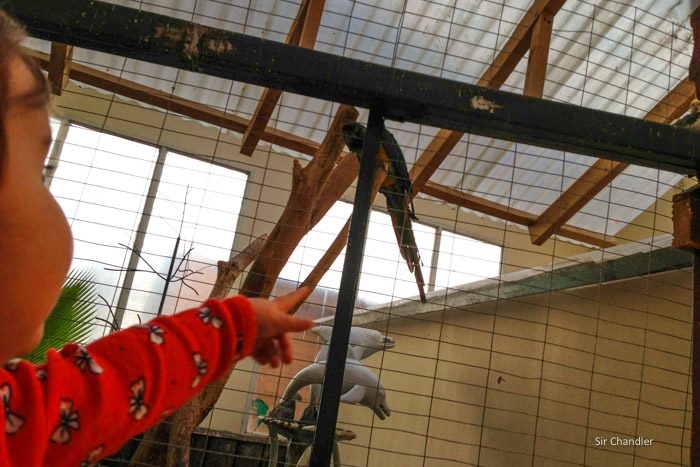 panaderia-union-tolhuin-9315