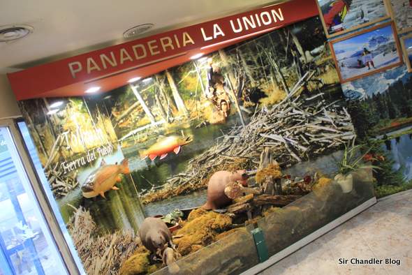 fauna-la-union